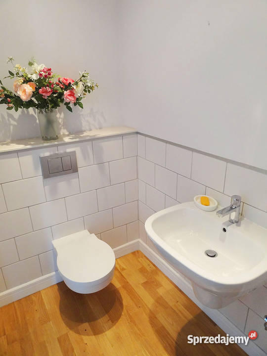 Mieszkanie Zielony Romanów łódzkie Łódź