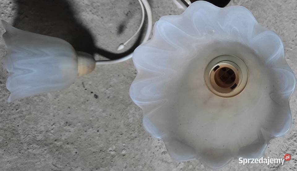 Lampa Wisząca Kwiatki 60x60 54 wys do Negocjacji Gliwice sprzedam