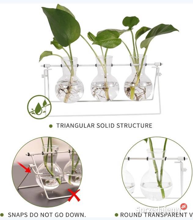 Stacja do rozmnażania roślin wazon stojak dolnośląskie
