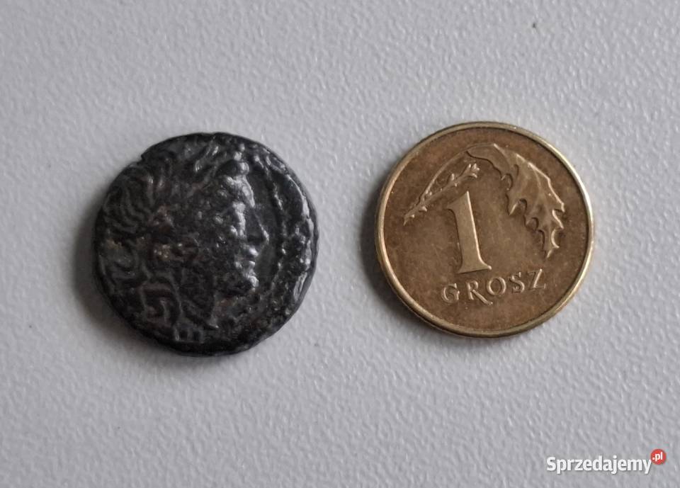 Antyczna Grecja moneta Aeolia Kyme III BC pomorskie