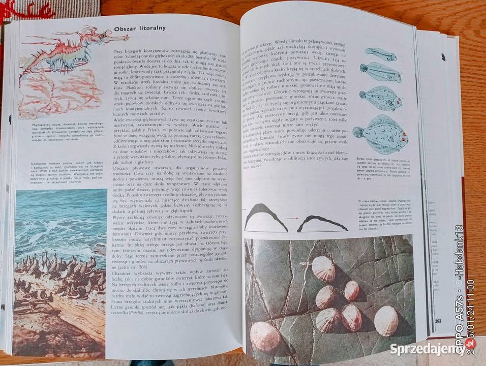 LAROUSSE Ziemia Rośliny Zwierzęta Książki dla dzieci Bychawka Trzecia