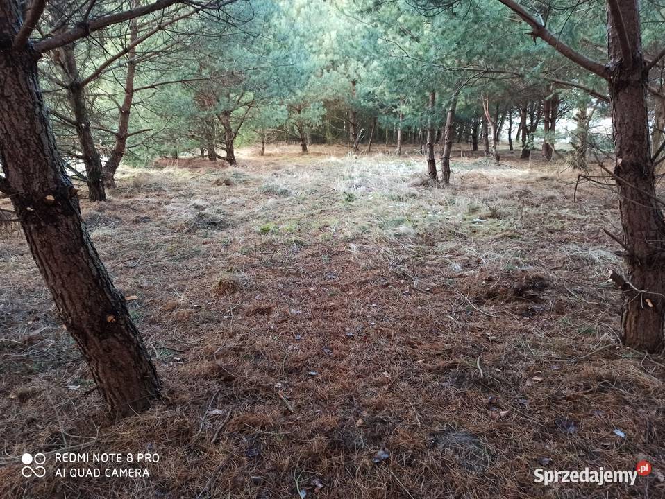 Sprzedam działkę rolną w sąsiedztwie lasów świętokrzyskie sprzedam