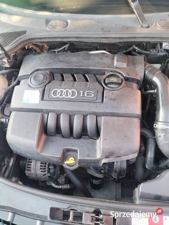 Audi A3 8p 16 mpi 2003 r Klimatronik autoalarm Pleszew