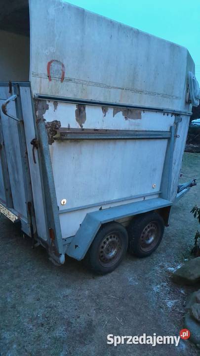 przyczepka do przewozu koni brenderup 2 osie lubuskie Lubiatów sprzedam