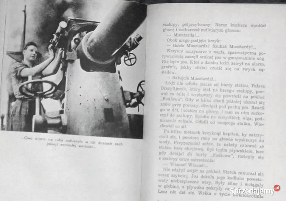 Dziękuję ci kapitanie Arkady Fiedler