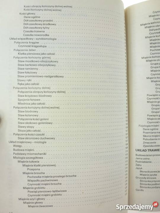 Anatomia i fizjologia człowieka Sylwanowicz