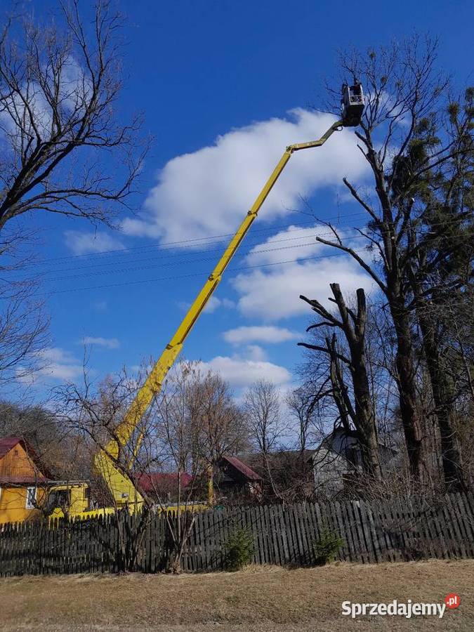 Wycinka drzew lubelskie Tomaszów Lubelski