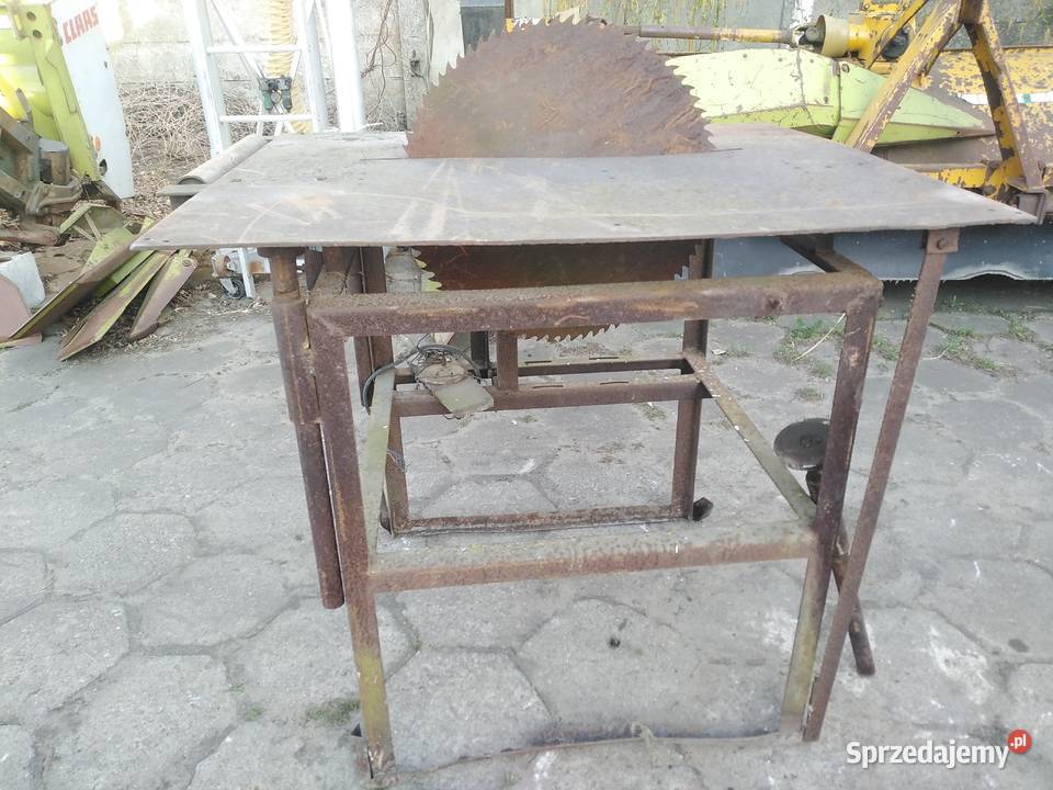 Krajzega Strzelno