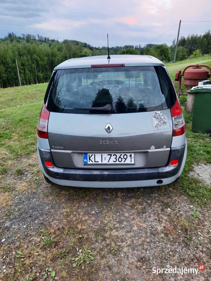 Scenik II nieuszkodzony podkarpackie Dębica