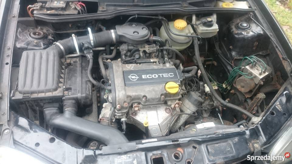 Opel corsa B 10 12V 2000 edition Corsa lubuskie