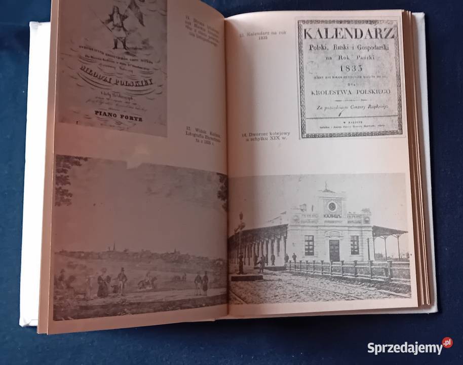 Władysław Rusiński Kalisz zarys dziejów Wyd Koźminek sprzedam