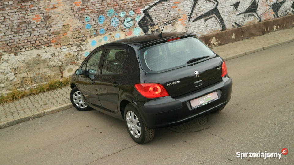 Peugeot 307 14 16VKlimatyzacjaElektrykaNiski Bytom