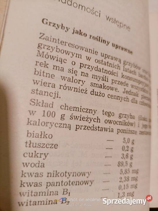 Pieczarka książki Szudyga księgarnia internetowa