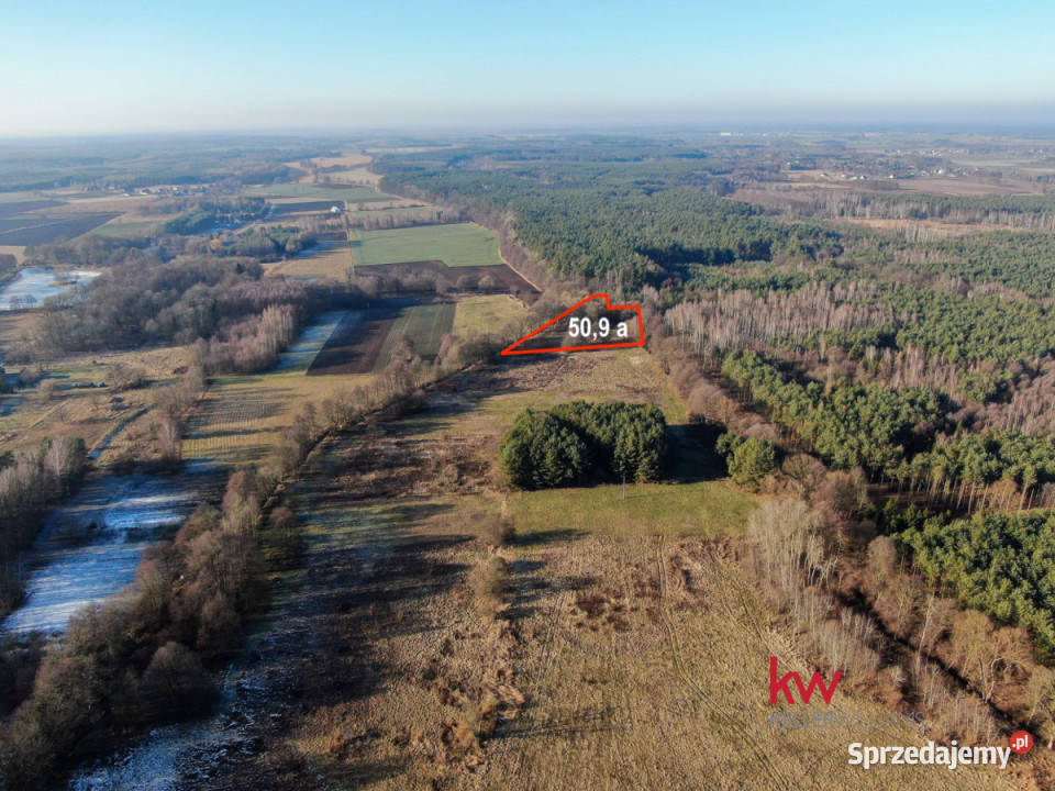 Sprzedam grunt 5090m2 Kuźniczysko