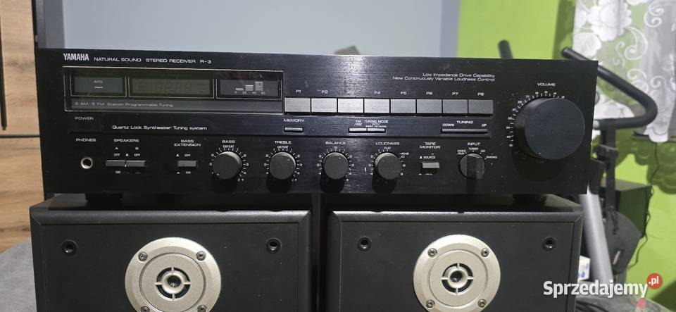 Kolumny Tonsil Fenix wielkopolskie Trzemeszno