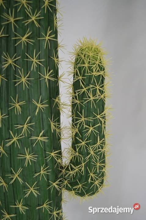 Kaktus sztuczny Mexico Cereus naturalny wygląd kujawsko-pomorskie Wąbrzeźno sprzedam