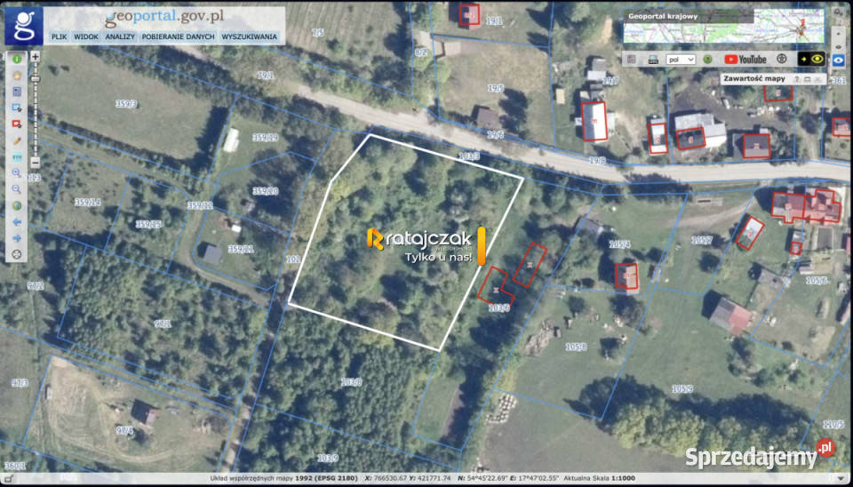 Grunt Ciekocino Dębowa 6066m2