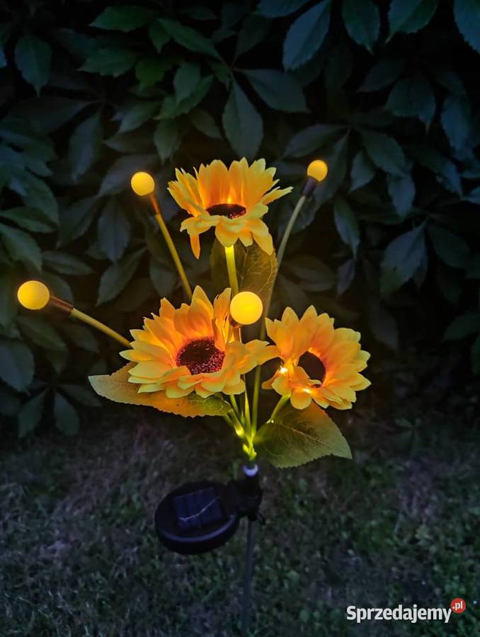 HIT Lata NOWA Lampki solarne LED słoneczniki z Blachownia sprzedam