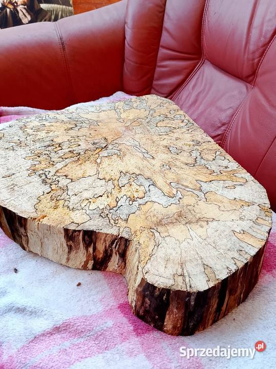 Plaster deska Buk z grzybkiem Wyposażenie wnętrz Nowy Tomyśl sprzedam