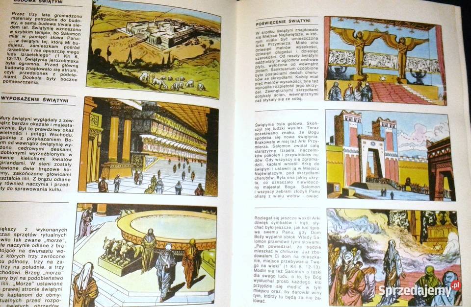 Biblia święta Historia wciąż żywa Attilio Monge Chełm