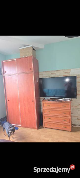 Wynajmę mieszkanie duże 2 Pokoje śląskie