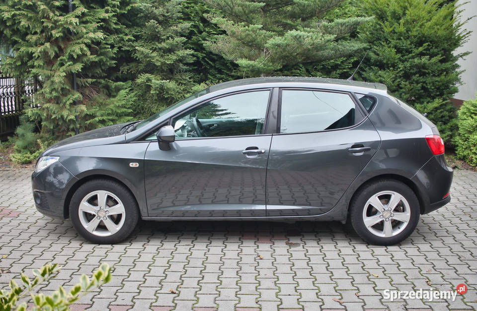 super stan NISKI PRZEBIEG SERWISIE 5drzwiowa Brzeszcze