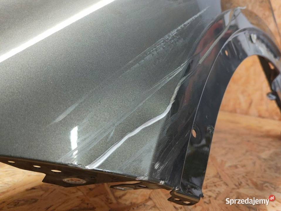 Błotnik Lewy Przód BMW X7 G07 20192022 Błotniki Pleszew sprzedam