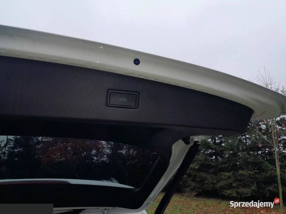 Volkswagen Tiguan Allspace 20 TDI SCR 4MotION 178500km Radzyń Chełmiński sprzedam