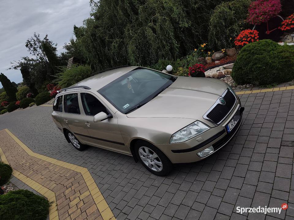 Skoda Octavia II 16 benzyna benzyna Octavia lubelskie Radzyń Podlaski
