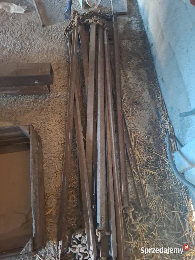 Taśma rozrzutnika polskiego Głowno