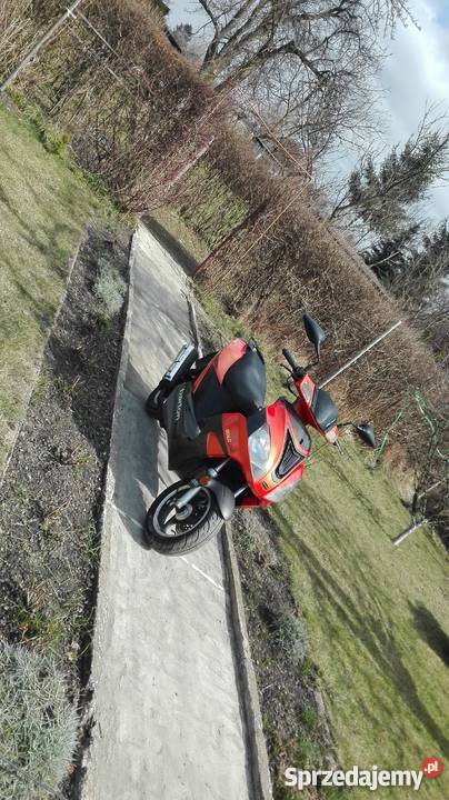 Barton Orlando okazja