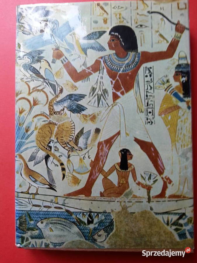 3074 Historia Sztuki sprzedam