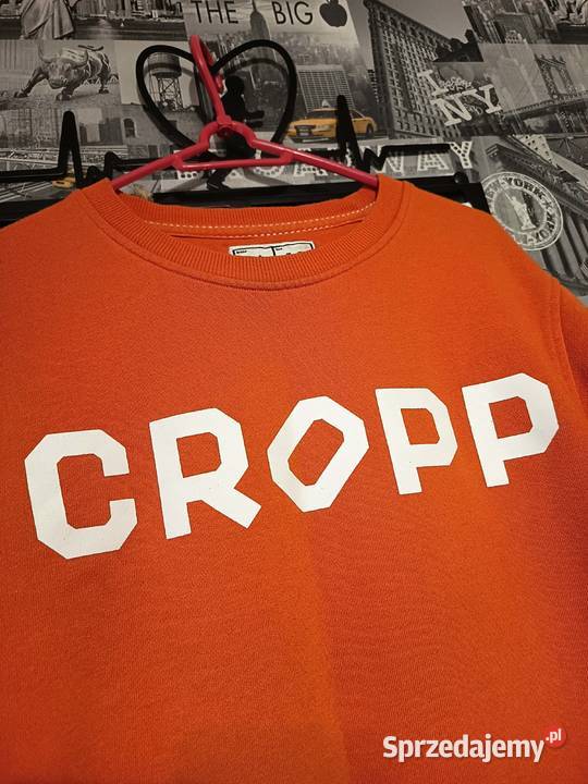 Pomarańczowa Bluza Bawełniana Cropp Logo Suwałki sprzedam
