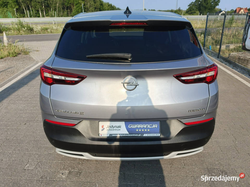 Opel Grandland X Lipówki