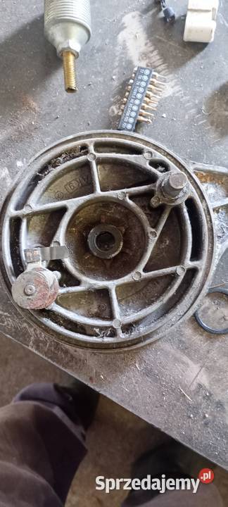 Dekle szczekotrzymacze shl m17 Odrowąż