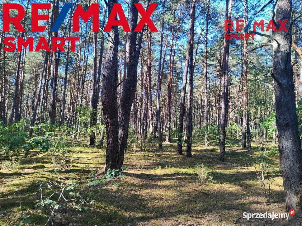 Na sprzedaż Działka Osiedle Wilga