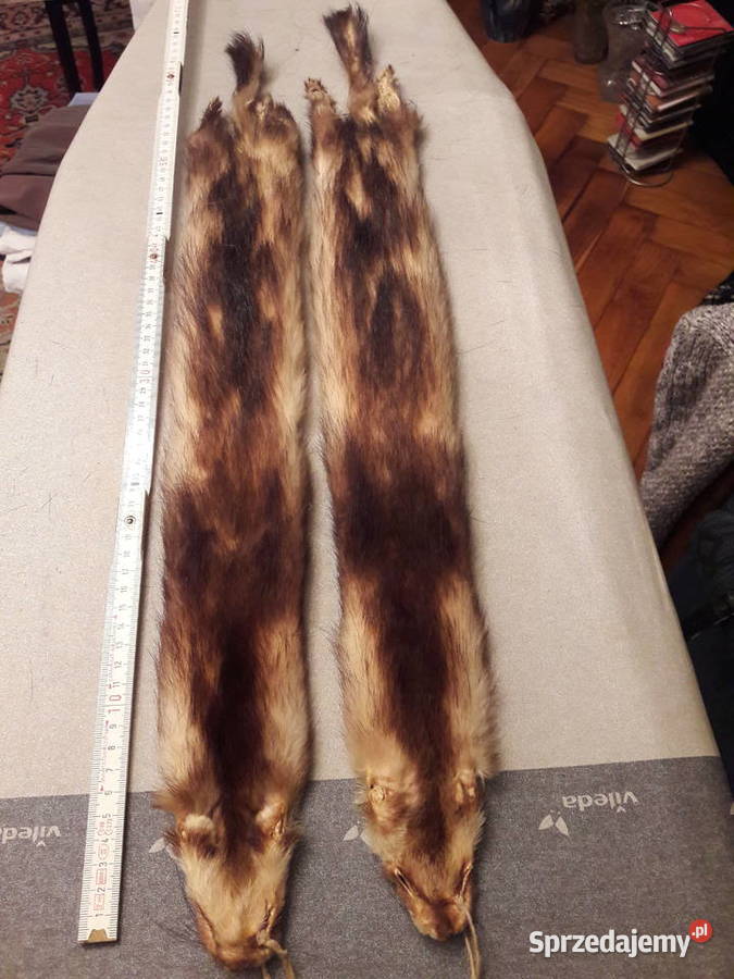 skórki 2 norek do wyprawy Chrzanów