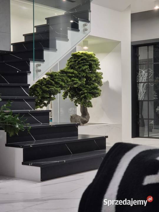 Sztuczne drzewko Bonsai Premium 165x90x200 małopolskie