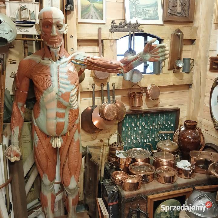 Osobliwości antyki starocie marynistyka Warszawa