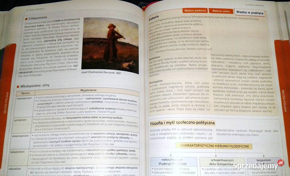 Teraz matura Język polski Vademecum z zadaniami Chełm