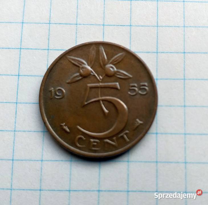 5 CENT 5 CENTÓW 1955 HOLANDIA Numizmatyka Kolekcje Piszczac sprzedam