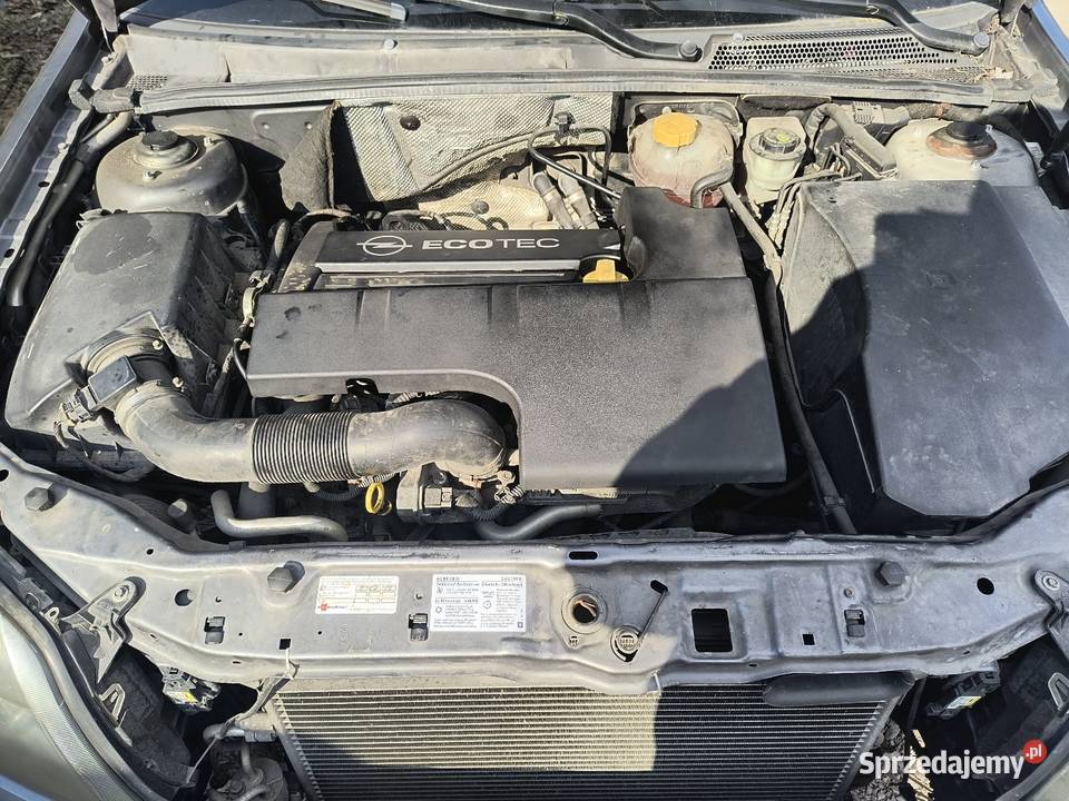 Opel Vectra Jelcz-Laskowice