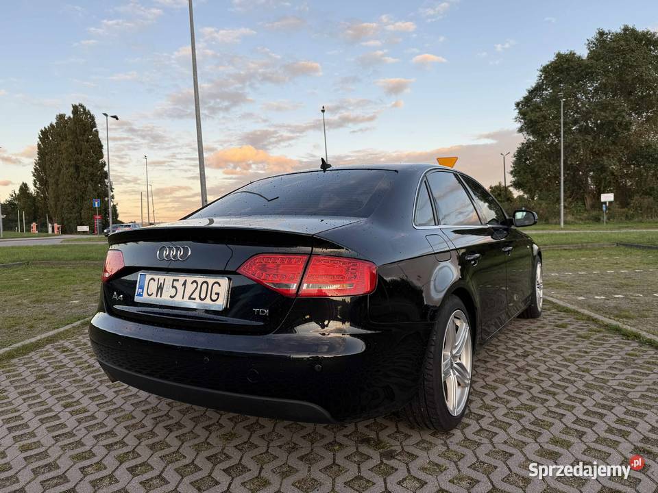 Piękne perłowe Audi A4 B8