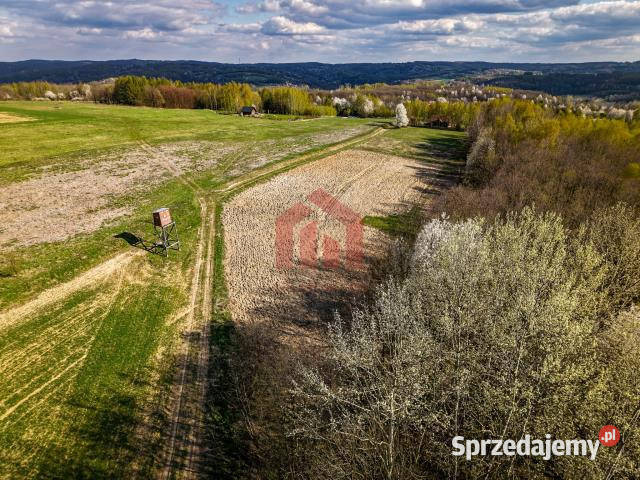 Działka 4836m2 Hadle Kańczuckie sprzedam