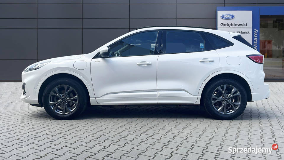 Ford Kuga 25 PHEV FWD STLine Starogard Gdański