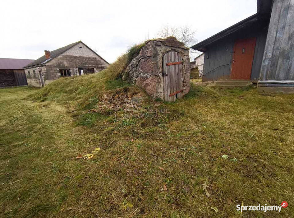 Tanie i ciche siedlisko na wsi z potencjałem 3000m2 Nowe Hołowczyce