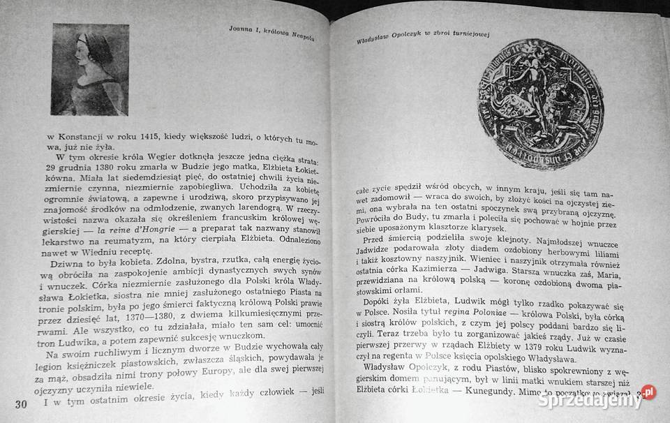 Królowa Jadwiga Opowieść o czasach i ludziach twarda Chełm