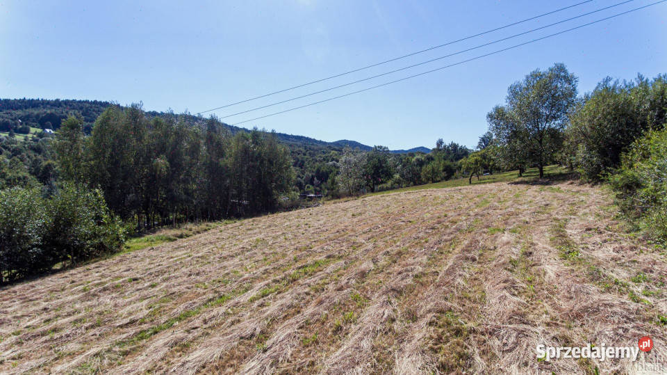Działkę sprzedam 2385m2 Gorzeń Dolny Dworkowa
