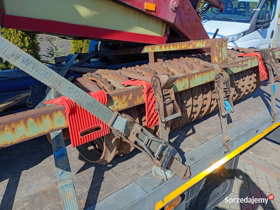 Wały posiewne dalbo Cambridge wysokie 45 Sośno