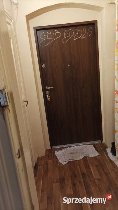 Wynajem mieszkanie Gliwice papa